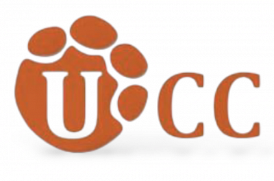 Ultra Connect Center Co., Ltd